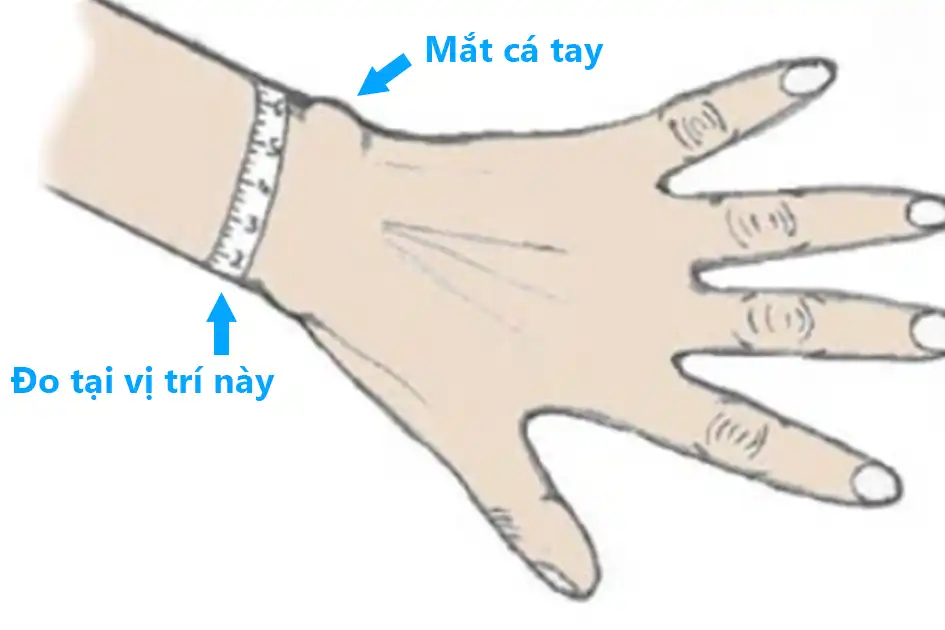 Cách đo Cổ Tay xác định tạng người Nữ