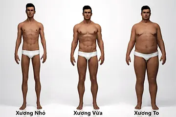 Khung Xương Nhỏ phải làm sao để Tăng Cân, Tăng Cơ hiệu quả?