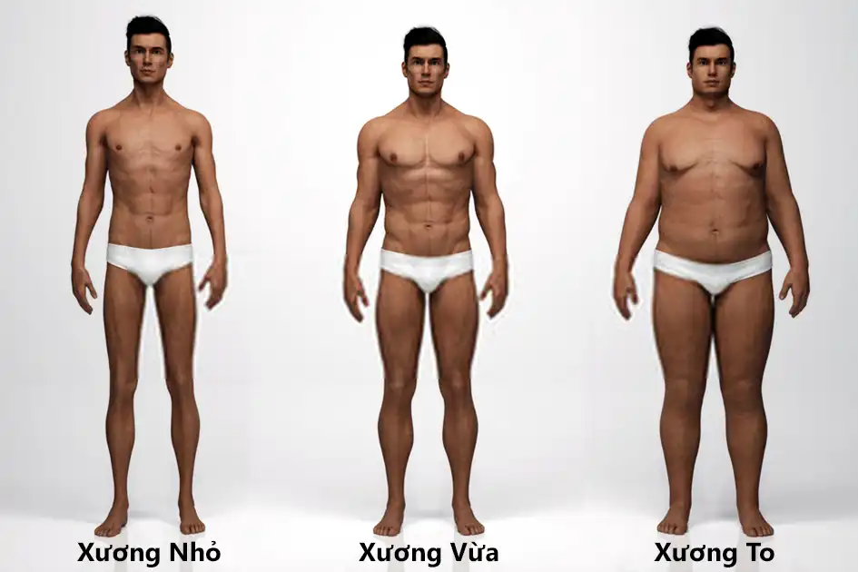 Người nam giới khung xương to có cổ tay, mắt cá chân lớn, hông rộng